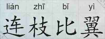 连枝比翼的拼音