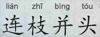 连枝并头的拼音