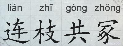 连枝共冢的拼音