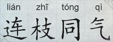 连枝同气的拼音