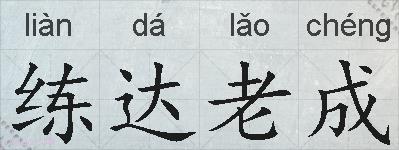 练达老成的拼音