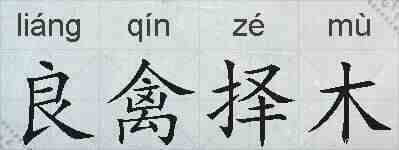 良禽择木的拼音