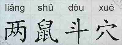 两鼠斗穴的拼音