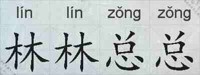 林林总总的拼音