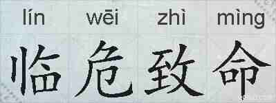 临危致命的拼音