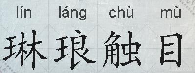 琳琅触目的拼音