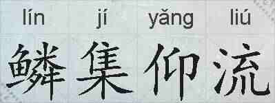 鳞集仰流的拼音