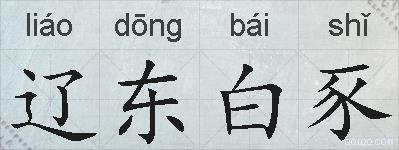 辽东白豕的拼音