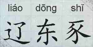 辽东豕的拼音