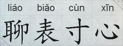 聊表寸心的拼音