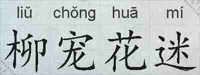 柳宠花迷的拼音