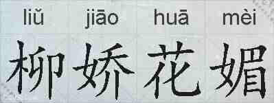 柳娇花媚的拼音