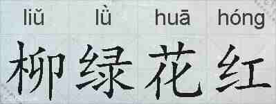 柳绿花红的拼音
