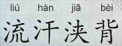 流汗浃背的拼音