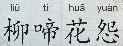 柳啼花怨的拼音
