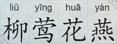 柳莺花燕的拼音