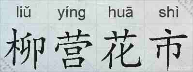柳营花市的拼音