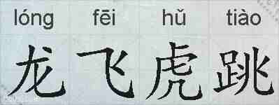龙飞虎跳的拼音