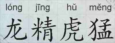 龙精虎猛的拼音