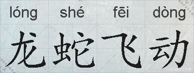 龙蛇飞动的拼音