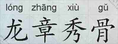 龙章秀骨的拼音