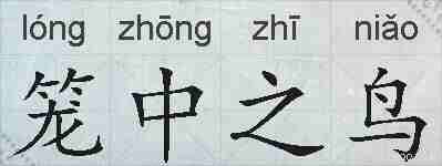 笼中之鸟的拼音