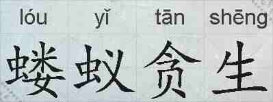 蝼蚁贪生的拼音