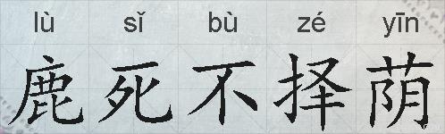 鹿死不择荫的拼音