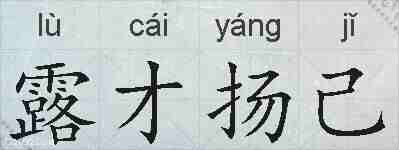露才扬己的拼音