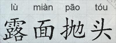 露面抛头的拼音