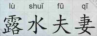 露水夫妻的拼音