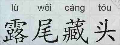 露尾藏头的拼音
