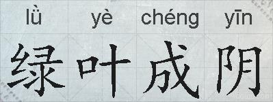 绿叶成阴的拼音