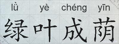 绿叶成荫的拼音