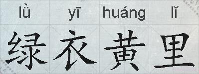 绿衣黄里的拼音