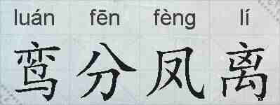 鸾分凤离的拼音