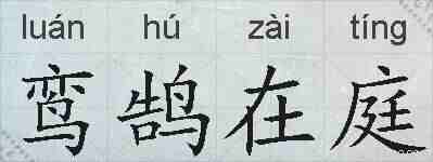 鸾鹄在庭的拼音