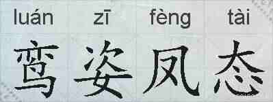 鸾姿凤态的拼音