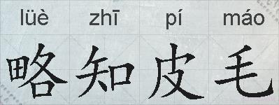 略知皮毛的拼音