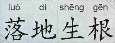 落地生根的拼音