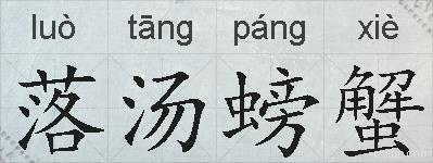 落汤螃蟹的拼音
