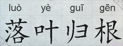 落叶归根的拼音