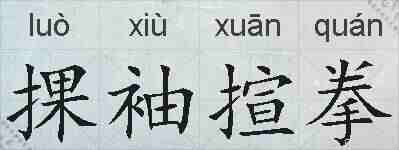 捰袖揎拳的拼音