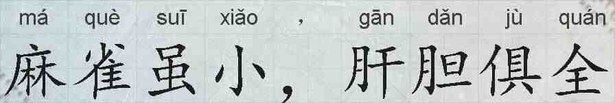 麻雀虽小，肝胆俱全的拼音