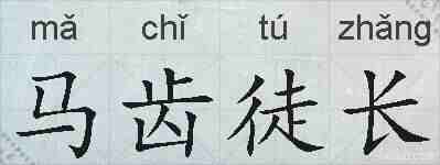 马齿徒长的拼音