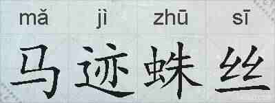 马迹蛛丝的拼音