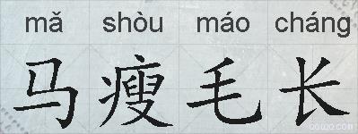 马瘦毛长的拼音