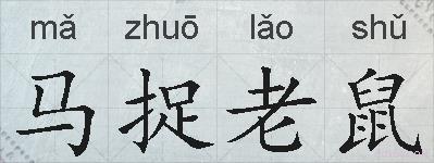 马捉老鼠的拼音