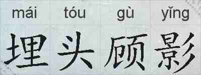 埋头顾影的拼音