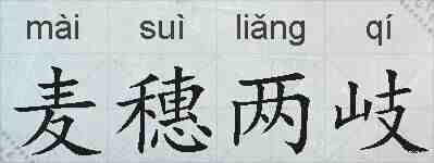 麦穗两岐的拼音